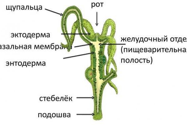 Ссылка на кракен тор kr2web in