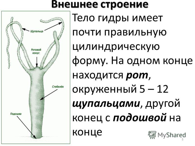 Kraken фейк сайт